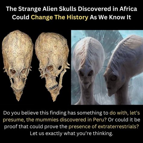 Real Alien Pictures, Alien Facts, Alien Pictures, Ancient Astronaut Theory, Ufos Are Real, Weird History, Kemetic Spirituality, Alien Skull, Ancient History Facts