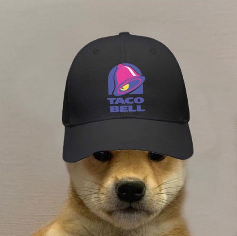 Taco Bell, Baseball Hats, Tacos, Hats