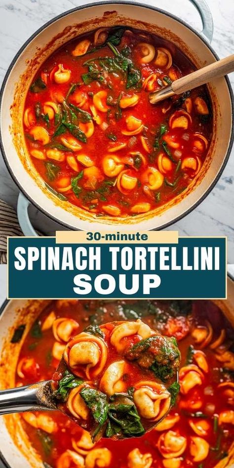 This spinach tortellini soup with a rich tomato base is a heartwarming 30-minute dinner. It's perfect on its own or for dipping in a crispy grilled cheese! Add a splash of heavy cream for a creamy spoonful. Tortolini Soup Tortellini Easy Recipes, Soups With Spinach, Spinach Tortellini Recipes, Tortellini Soup Recipes, Crispy Grilled Cheese, Cheese Tortellini Soup, Tomato Tortellini, Creamy Tortellini Soup, Spinach Tortellini Soup