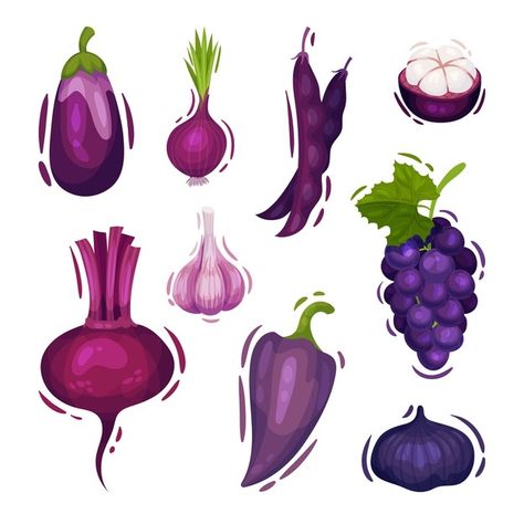 Purple Fruit Drawing, Purple Fruits And Vegetables, Purple Vegetables, Plants Vegetables, Purple Fruit, Fruits Drawing, Vector Food, Color Wheel, Plant Life