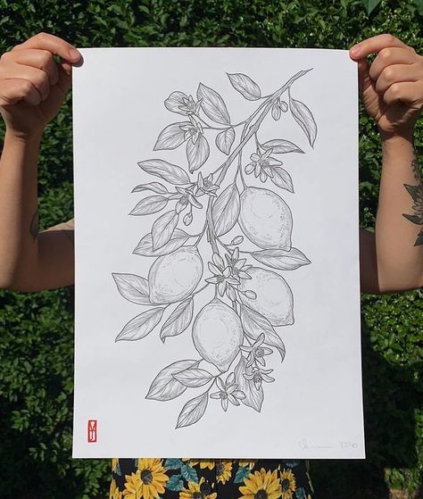 Lemon Tree Tattoo Black And White, Botanical Tattoo Stencil, Fruit Tattoo Sleeve, Lemon Branch Tattoo, Lemon Tree Tattoo, Citrus Drawing, Citrus Tattoo, Rosemary Tattoo, Tree Tattoo Black