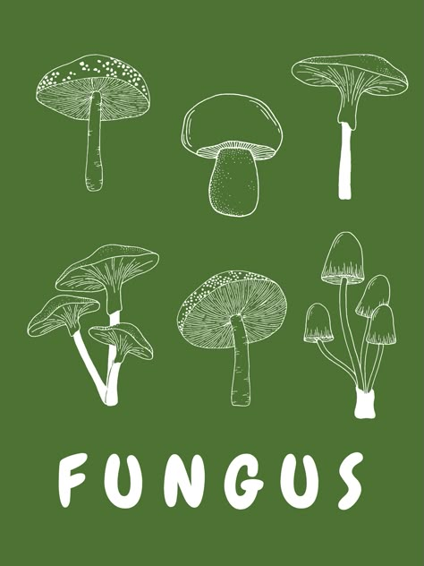 Mushroom Poster Design, Mushroom Graphic Design, Mushroom Diagram, Mushroom Branding, Mushroom Types, Poster Mushroom, Mushroom Logo, Fungi Illustration, Types Of Mushrooms