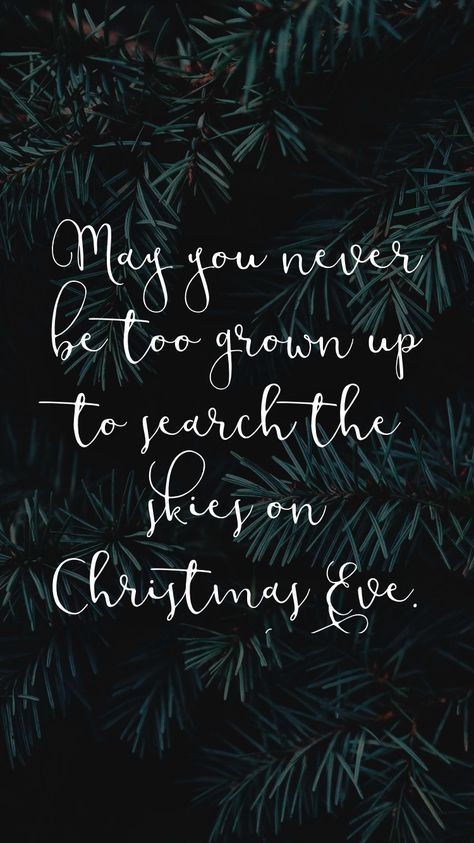 May you never be too grown up to search the skies on Christmas Eve.   From the Motivation app: http://itunes.apple.com/app/id876080126?at=11lv8V&ct=shmotivation Merry Christmas Eve Quotes, Christmas Eve Quotes, Christmas Card Sayings, Motivation App, Merry Christmas Eve, Holiday Sparkle, Merry Little Christmas, Baby Cold, Grown Up