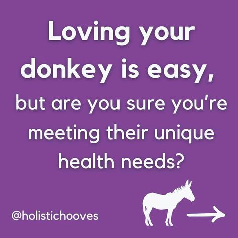 Loving your donkey is easy, but are you sure you’re meeting their unique health needs? 🤔 Most donkey owners struggle with these 4 things: 1️⃣ Farrier issues: Are they trimming donkey hooves correctly? 2️⃣ Diet concerns: Is their food causing hoof problems? 3️⃣ Environment: Is their space making hoof issues worse? 4️⃣ Hoof handling: Are you stressed every time you need to handle their hooves? If this sounds familiar, I’ve got the solution! In my Principles of Donkey Hooves & Health cours... You Sure, Love You, Diet, Health