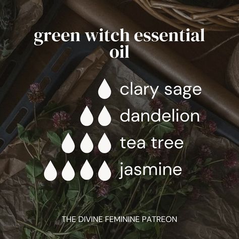 🌿🐈‍⬛✨🌙 Essential Oil Blends inspired by the witches Some blends l’ve created that you can use for aromatherapy! Some ways you can use essential oils are in… diffusers, for creating oils, adding in lotions or directly onto pulse points with caution, etc! I’ve posted lots of essential oils over on Patreon so definitely get check them out! ✨🌙 🍂🍁 Shop our metaphysical shop through the link in bio #aromatherapy #witch #witchy #essentialoils #witchtok #witchcraft #pagan #witchesoftiktok #greenwi... Essential Oils Witchcraft, Oils Witchcraft, Joy Essential Oil, Dandelion Tea, Candle Diy, Metaphysical Shop, Aromatherapy Blends, Pulse Points, The Witches