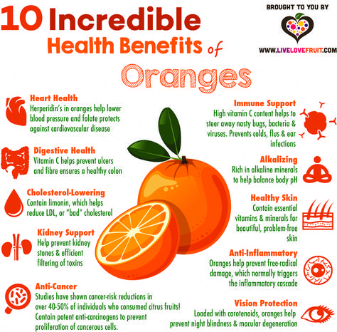 10 Incredible Health Benefits of Oranges! Here are 10 reasons you should start eating more oranges, if you haven’t already! Orange Health Benefits, Benefits Of Oranges, Mucoid Plaque, Dragon Fruit Benefits, Healthy Colon, Health Facts Food, Cold Prevention, Health Vitamins, Health Facts