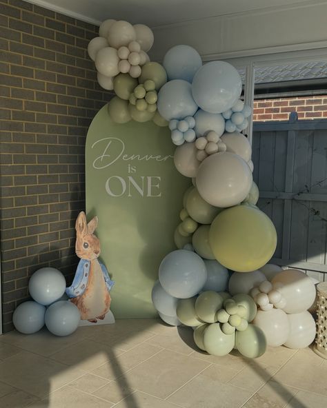 TONES 🫶🏽🐰 @sublimedecals Birthday Boy Decoration Ideas, 1st Birthday Boy Decorations Ideas, 1st Birthday Boy Decorations, 1st Birthday Decorations Boy, Balloons Backdrop, Peter Rabbit Birthday, Baby First Birthday Cake, 1st Birthday Boy, Birthday Decorations Kids