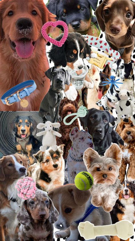 Dog Collage, Book Ideas, Photo Book, Pet, Collage, Dogs, Quick Saves