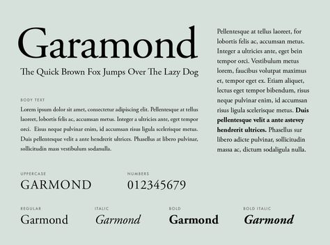 Garamond Font Poster, Microsoft Fonts, Humanist Typeface, Typography Specimen, Font Latin, Esthetician Resume, Resume Fonts, Microsoft Word Fonts, Garamond Font