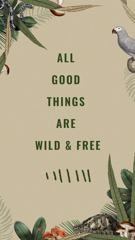 Turtle Iphone Wallpaper, Jungle Typography, Jungle Quotes, Rainbow Vector, Free Android Wallpaper, Turtle Wallpaper, Jungle Thema, Snake Illustration, Riding Quotes