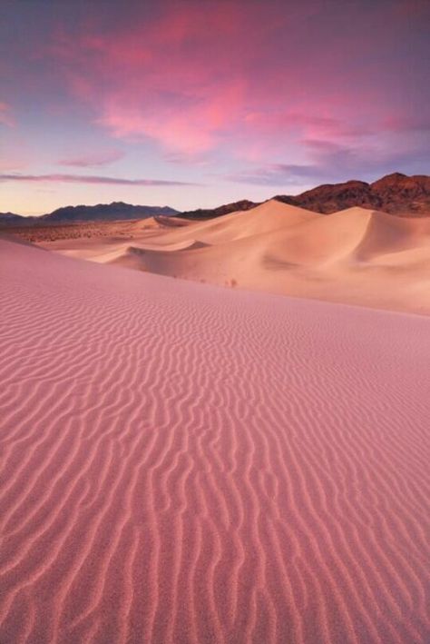 Pink desert sands وادي رم, Desert Dream, Wadi Rum, Pink Sand, Amman, Sand Dunes, The Desert, Amazing Nature, Beautiful World