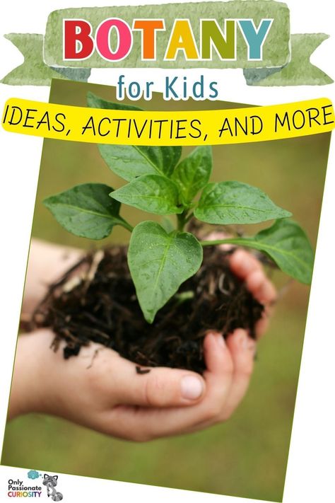 Here are some great ideas, tips, and resources for teaching botany to your homeschoolers to inspire a lifelong love for plants and nature. Botany Unit Study, Homeschool Botany, Botany Lessons, Science Activities For Toddlers, Growing Plants From Seeds, Plant Lessons, Plant Activities, Montessori Elementary, Time Planner