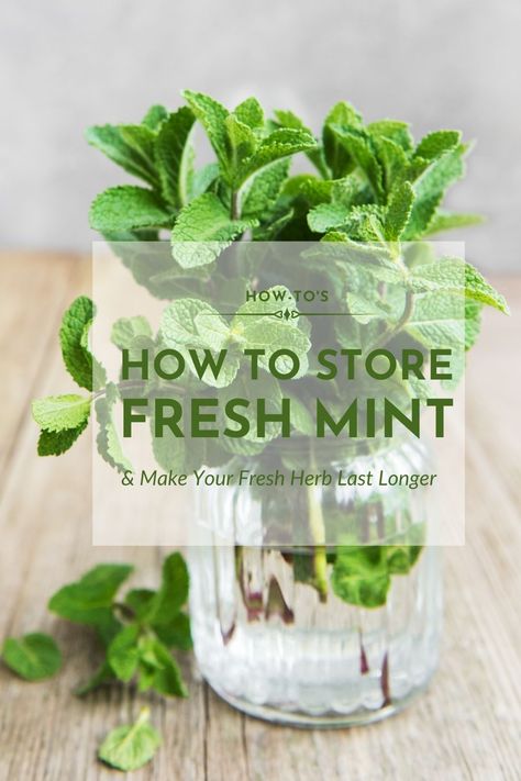 How To Keep Mint Fresh In Fridge, How To Keep Mint Leaves Fresh, How To Store Fresh Mint, How To Store Mint Leaves, Digestive Tea, Watermelon And Feta Salad, Preserve Fresh Herbs, Store Fresh Herbs, Drying Mint Leaves