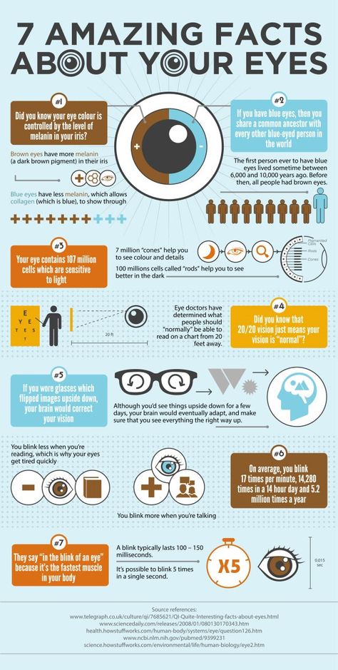 Download and check, “7 Amazing Facts About Your Eyes” Infographic by lenstore.co.uk, and know some interesting facts about your eyes you probably didn’t know. #healthcare #medical #eye #facts Eye Facts, Diet Vegetarian, Medical Knowledge, Anatomy And Physiology, Amazing Facts, Health Blog, Eye Health, Health Info, Health Facts