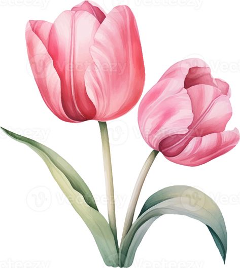 Pink Tulips Bouquet, Flower Border Clipart, Tulip Wall Art, Garden Clipart, Tulips Art, Watercolor Tulips, Spring Clipart, Watercolor Bouquet, Decoupage Vintage