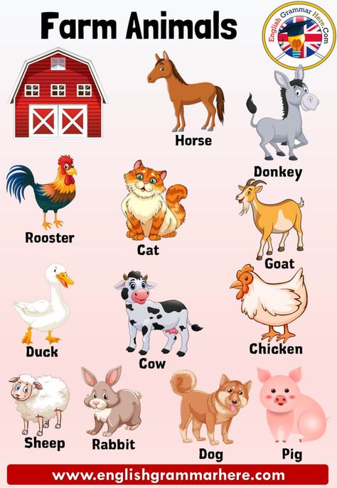 Farm Animals Names, Definition and Examples Farm Animals Farm animals are animals that feed in an environment. Livestock breeding can also be carried out to generate income, for example, from the milk of animals such as cows, goats, sheep; Hens ‘eggs and bees’ honey can benefit in this way. Such animals are mostly raised on the same farm. Some animals are raised on farms to produce products such as food and fiber. Animals Names List from A to Z Animal species are in some groups, for example; ... Farm Animals List, Animals Name With Picture, Farm Names, Animals Name List, Herbivorous Animals, Farm Animals Pictures, Animal Pictures For Kids, Animals Name In English, Farm Animals Preschool