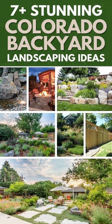 7 Stunning Colorado Backyard Landscaping Ideas and Designs (Photos) Xeriscape Landscaping Backyard, Xeroscaping Backyard, Water Wise Front Yard, Garden Ideas For Beginners, Landscape Design Diy, Frontyard Landscape Layout, Colorado Backyard, Colorado Landscaping, Meditative Space