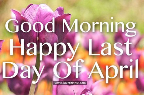 Happy Last Day Of April Last Day Of April, Hello February Quotes, Good Morning Tuesday Images, Funny Good Morning Messages, April Quotes, Good Morning Facebook, Good Morning My Friend, Hello April, Scentsy Consultant Ideas