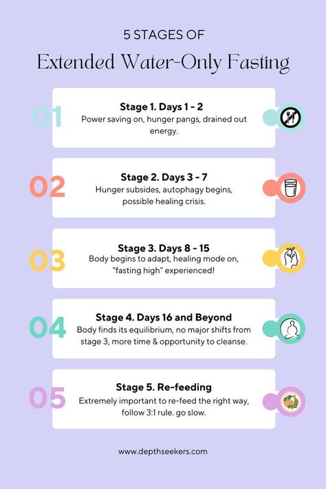 The 5 Stages of Extended Water Fasting Fasting Diet Plan, Health Statistics, Best Fat Burning Foods, Best Diet Plan, Fasting Diet, Detox Your Body, Lose 50 Pounds, Intermittent Fasting, To Learn