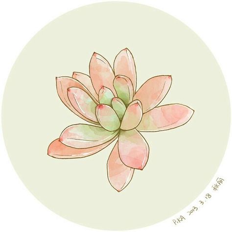 Succulent ilustration | Ilustração de suculenta Succulent Tattoo, Succulents Drawing, Plant Clipart, Watercolor Succulents, Succulent Art, Botanical Watercolor, Cactus Y Suculentas, Plant Illustration, Botanical Illustration