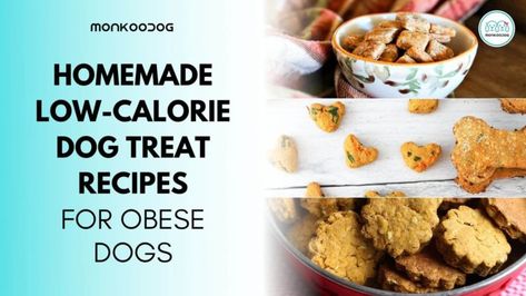 Low Calorie Treats For Dogs, Low Calorie Dog Treat Recipes, Low Calorie Dog Treats Homemade, Low Calorie Dog Food, Low Calorie Dog Treats, Low Fat Dog Treats, Dog Treats Recipes, Low Calorie Pumpkin, Dog Treats Homemade