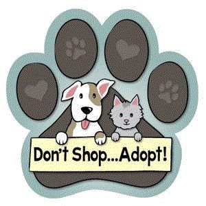 Australian Government, Cute Puppy Pictures, Animal Advocacy, Puppy Mills, Puppy Pictures, Dog And Cat, Shelter Dogs, Dog Quotes, A Sign