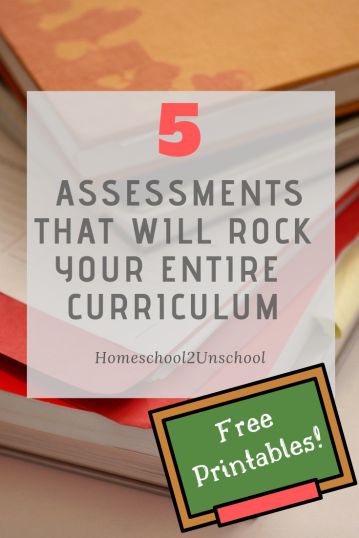 1st Grade Reading Assessment, First Grade Assessment Free, Homeschool Assessment Test, 3rd Grade Assessment Checklist, Homeschool Assessments, Types Of Learners, Reading Assessment, Reading Help, Levels Of Understanding