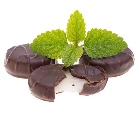 Junior Mints | Kidstir Junior Mints Recipe, Movie Theater Candy, Mints Recipe, Junior Mints, Mint Extract, Small Microwave, Measuring Cups & Spoons, Mint Recipes, Kitchen Skills