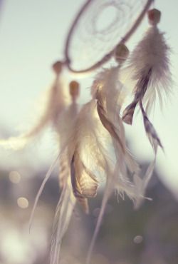 In My Dreams, A Dream, The Sky, Dream Catcher, Feathers, White