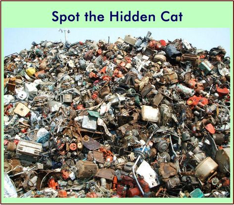 This picture riddle will surely keep you occupied for sometime. In the picture of this junkyard there is a cat hidden somewhere. Can you find it? How long did it take you to find the hidden cat? Once you find it, share this riddle with your friends on WhatsApp and Facebook. Answer: Marked in the Read more → Find The Hidden Objects, Can You Find It, Chrono Trigger, Hidden Images, Cat Hiding, Hidden Pictures, Hidden Objects, Picture Puzzles, Funny Cat Pictures