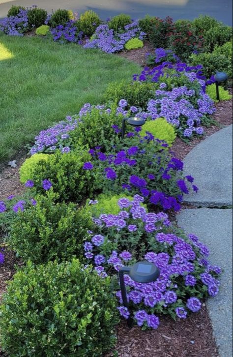 Purple And White Landscaping Front Yards, Purple White And Green Landscaping, Blue Purple Garden, Purple And White Planting Scheme, Purple Cottage Garden, Violet Garden, Hydrangea Landscaping, Annual Garden, Back Garden Design