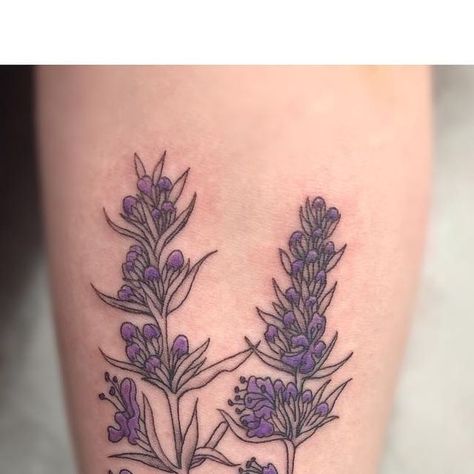 Pinpoint Art on Instagram: "Hyssops for @botanicaesthetics 😍- thank you for your patience!! 😘
.
.
I love #flowers so much - and this one was a challenge! Those little baby buds are teeny tiny!! 😅
.
.
.
#flowertattoo #hyssop #colortattoo #finelinetattoo #flower #tattoo #custom #color #ink #guyswithtattoos #love #fineline #colortattoos #tattooartist #albany #pinpointart #inked #artist #artistsoninstagram" Hyssop Tattoo, I Love Flowers, Color Ink, Fine Line Tattoos, Color Tattoo, Love Flowers, Tattoos For Guys, Tattoo Artists, Flower Tattoo