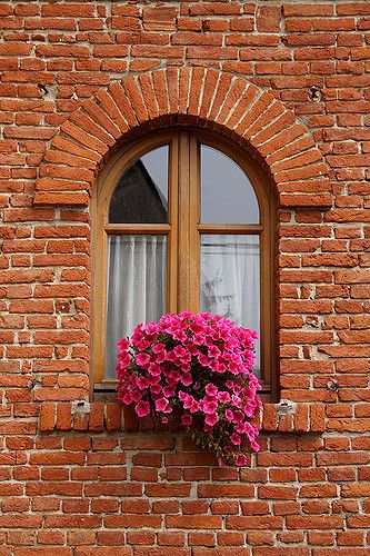 Brick Window, Pretty Windows, Decorative Windows, Simple Bouquet, Window Box Flowers, Brick Arch, Windows Me, Beautiful Windows, Garden Windows