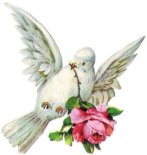 Victorian Scrap, Victorian Christmas, Vintage Birds, Vintage Valentines, Post Cards, Vintage Cards, Art Plastique, Vintage Graphics, Bird Art