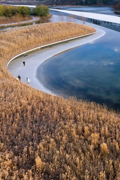 House Built Into Hillside, Museum Flooring, Junya Ishigami, Grass Roof, Open Air Museum, Park Pavilion, Wetland Park, Landform, Japanese Architect