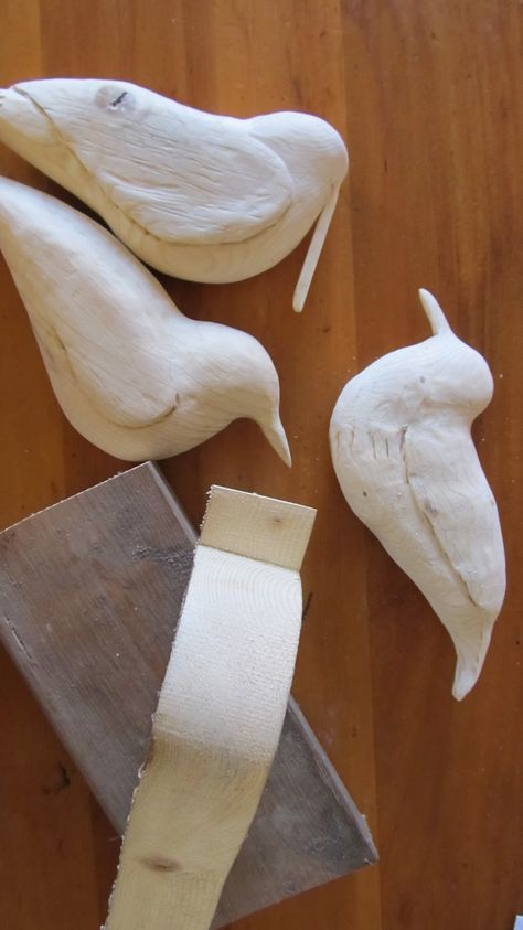 How to Carve Shore Birds from Scrap Wood – Naturesway Crafts Bird Carving Patterns, Carving Animals, Birds Photos, Carving For Beginners, Whittling Projects, Trace A, Shore Birds, Wood Carving For Beginners, Intarsia Patterns