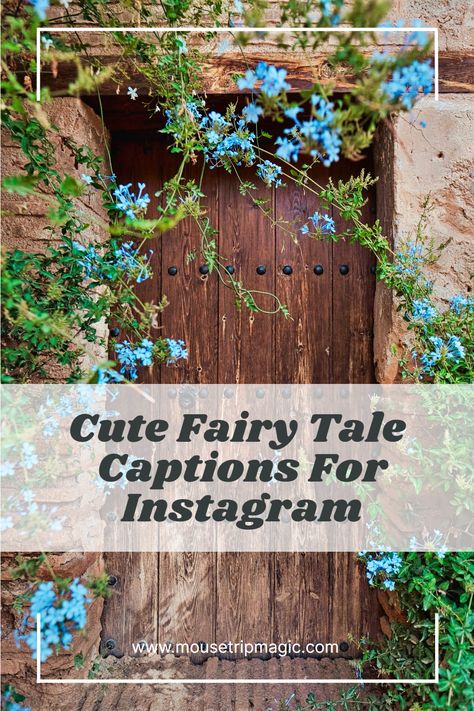 Write your own fairy tale on Instagram with our caption ideas! ✨ Fairytale Instagram Captions, Fairy Captions For Instagram, Short Fairy Tales, Fairytale Quotes, Fairy Quotes, Life Captions, Captions For Couples, Fairy Tale Forest, Wedding Captions