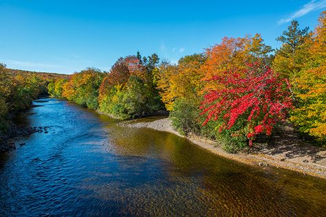 Ingonish, Cape Breton Island. Ingonish Cape Breton, Cape Breton Island, Cape Breton, Nova Scotia, Cape, Places To Visit