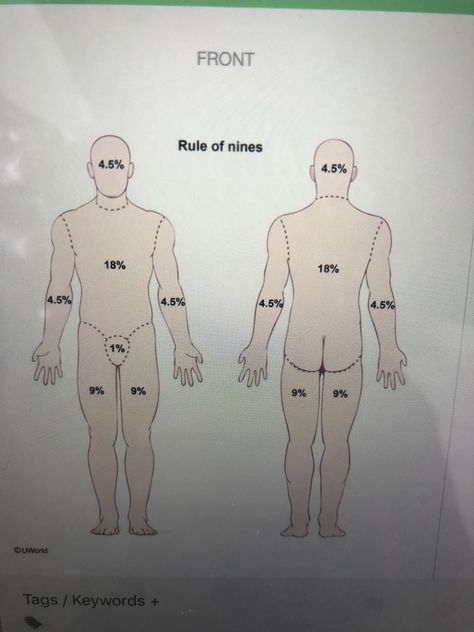 Skin Burns, Nclex, Nursing, Male Sketch, Humanoid Sketch, Skin, Art