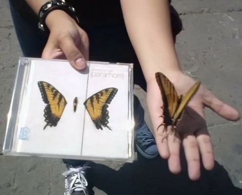 Paramore, Butterflies, Brand New, Yellow