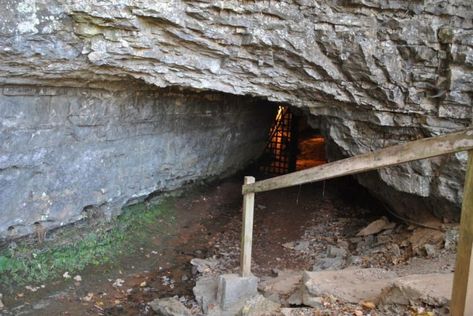 The Bell Witch, Unknown Creatures, Bell Witch, John Bell, Abandoned Asylums, Blair Witch, Spooky Places, Places In America, Haunted Hotel