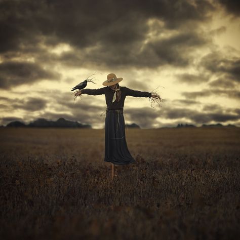 scarecrow Macabre Photoshoot, Scarecrow Photoshoot, Surreal Portraits, Creepy Pics, Halloween Costumes Women Scary, Scary Scarecrow, Scarecrows For Garden, Halloween Shoot, Scare Crow