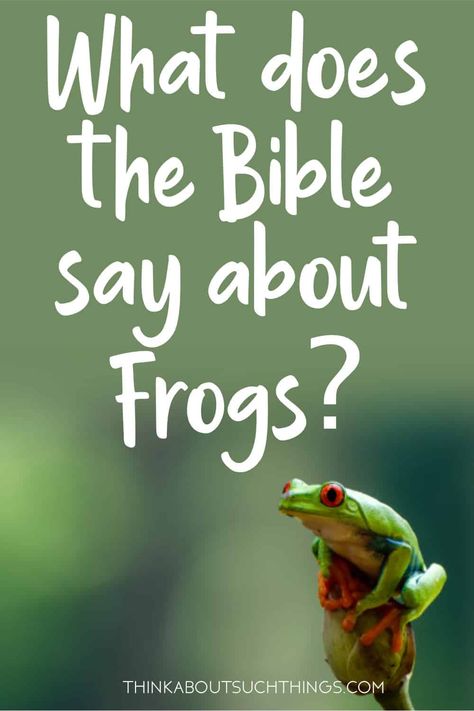 Frog Sayings, Pictures Of Frogs, Bible Meaning, Frog Facts, Book Of Mormon Scriptures, Frog Quotes, Revelation 16, Frog Pictures, Bible Resources