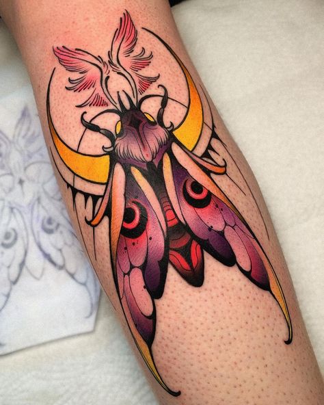 Great Tattoo Ideas, Traditional Moth Tattoo, Fenrir Tattoo, Maple Moth, Rosy Maple Moth, Neo Tattoo, Traditional Tattoo Inspiration, Bug Tattoo, Insect Tattoo