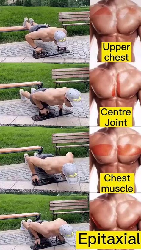 Chest Workout At Home, Latihan Dada, Bodybuilding Workouts Routines, Trening Sztuk Walki, Best Chest Workout, Gym Workout Planner, Gym Antrenmanları, Bodybuilding Workout Plan, Abs Workout Video