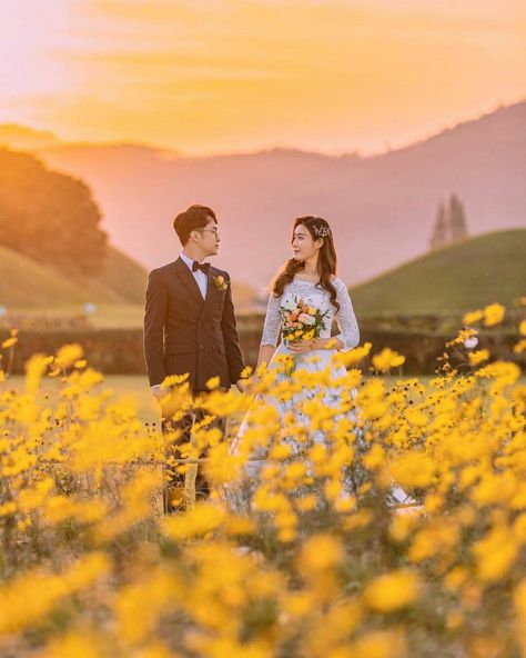 Garden Prewedding Photoshoot, Tunang Photoshoot, Garden Prewedding, Prewedding Photography Casual, Ide Prewedding, Couple Korea, Prenup Ideas, Prewedding Photoshoot, Korea Wedding