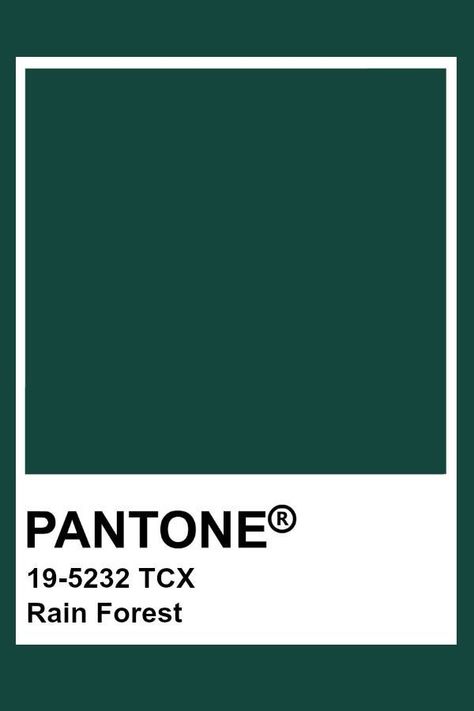 Pantone Green, Pantone Palette, Pantone Colour Palettes, Rain Forest, Color Palette Design, Color Inspo, Colour Board, Colour Schemes, Green Aesthetic