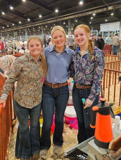 Showing Cattle Outfits, Stock Show Outfits Cattle, Cattle Showing Outfits, Livestock Showing Outfits, Cute Livestock Show Outfits, Showing Livestock Outfits, Pig Show Outfits, Show Outfits Livestock, Livestock Outfits