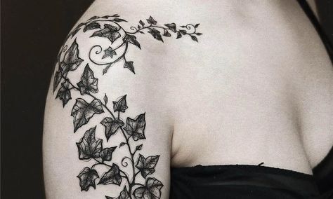 30 Best Ivy Tattoo Ideas You Should Check Poison Ivy Leg Tattoo, Ivy Tattoo Arm, Ivy Tattoo Design, Ivy Tattoos, Ivy Illustration, Poison Ivy Tattoo, Ivy Tattoo, Tattoo Filler, Ivy Vine