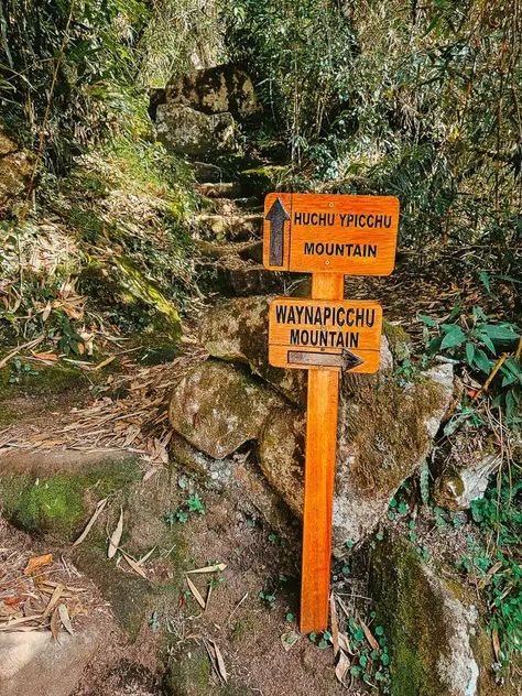 Huayna Picchu: Hike an Epic Mountain at Machu Picchu (2024) Machu Pichu Hike, Huayna Picchu, South America Travel, Machu Picchu, America Travel, South America, Around The Worlds, Hiking, The Incredibles